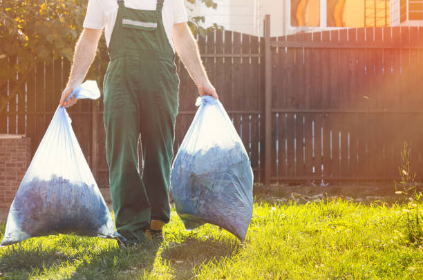 Best Yard Waste Removal  in Pine Valley, CA